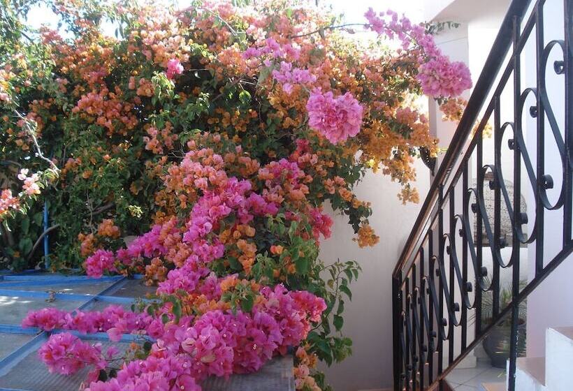 هتل Riad Marlinea