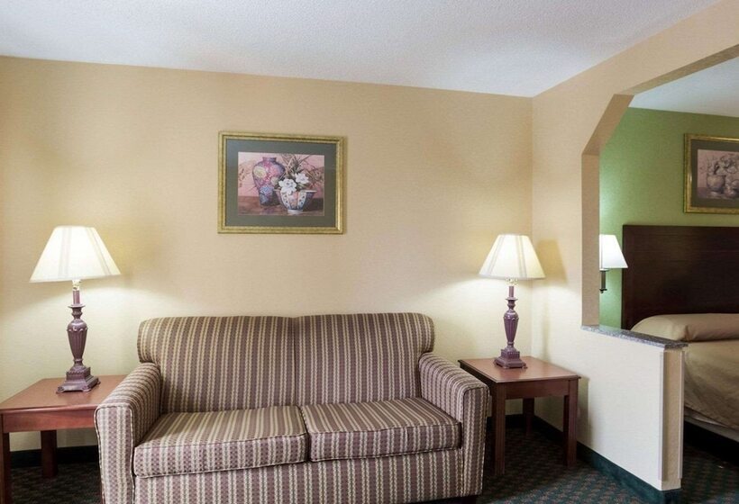 酒店 Rodeway Inn & Suites