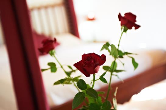 فندق ريفى Agroturisme Perola   Only Adults