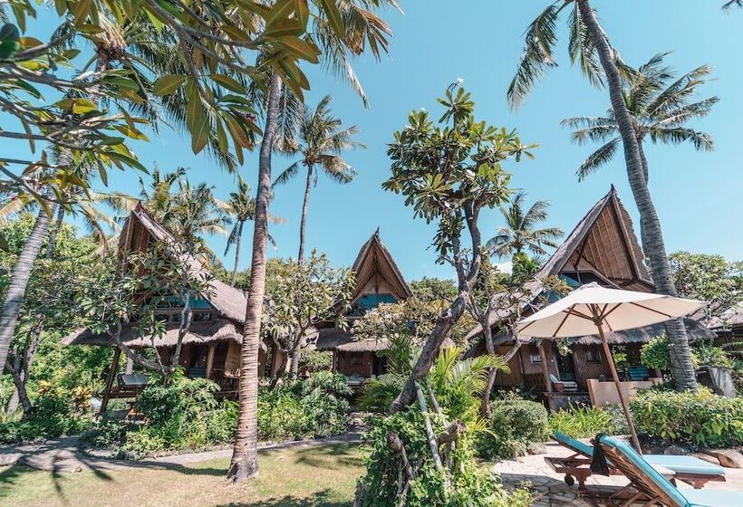 בית מלון כפרי Santai