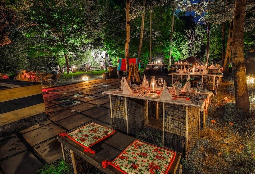 هتل Solang Valley Resort