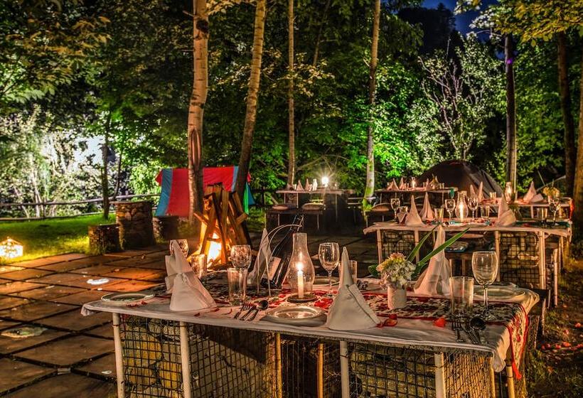 هتل Solang Valley Resort