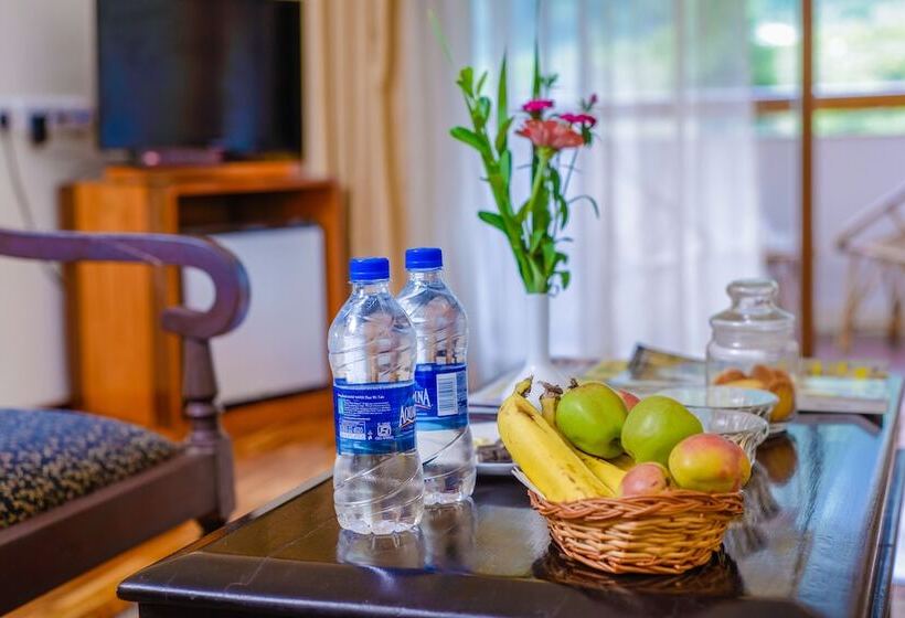 هتل Solang Valley Resort