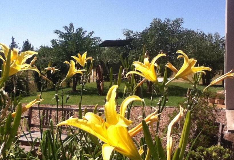 בית מלון כפרי Solar Del Pago