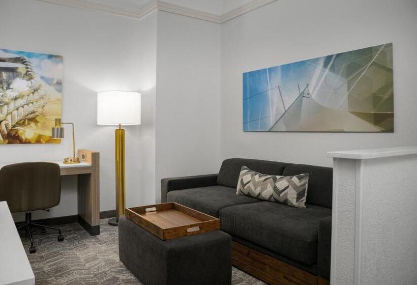 酒店 Springhill Suites By Marriott Annapolis