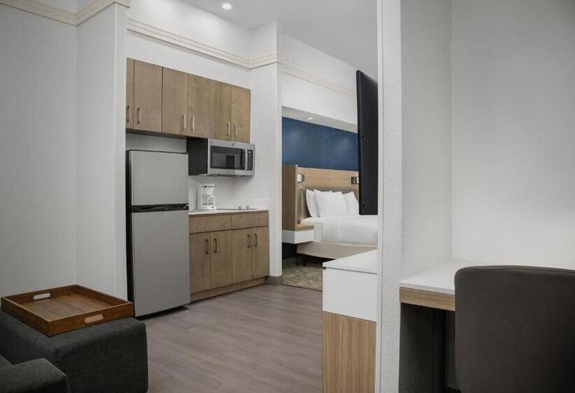 هتل Springhill Suites By Marriott Annapolis