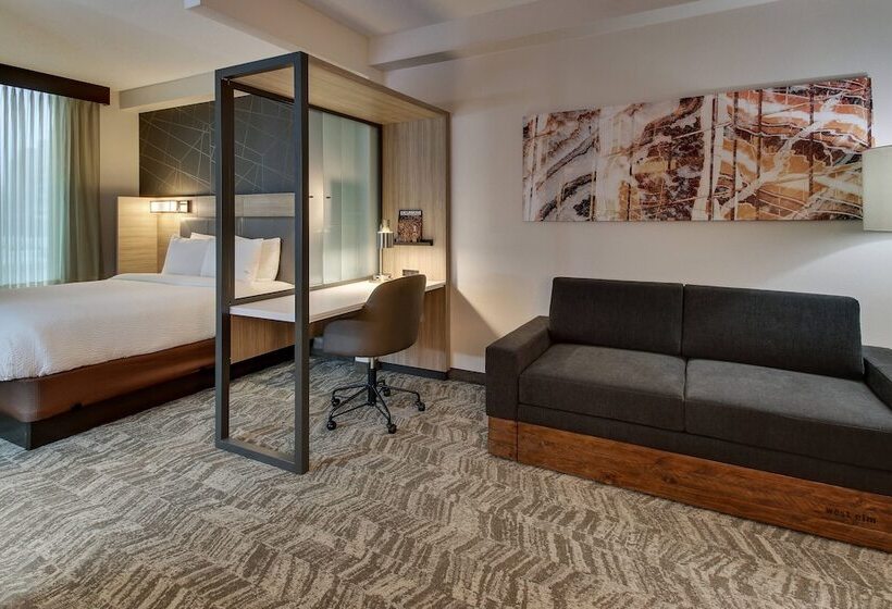 酒店 Springhill Suites By Marriott Birmingham Downtown At Uab