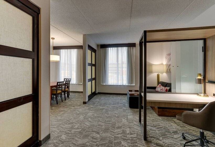 酒店 Springhill Suites By Marriott Birmingham Downtown At Uab