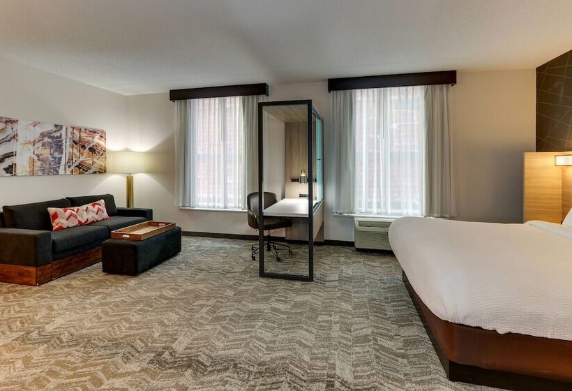هتل Springhill Suites By Marriott Birmingham Downtown At Uab