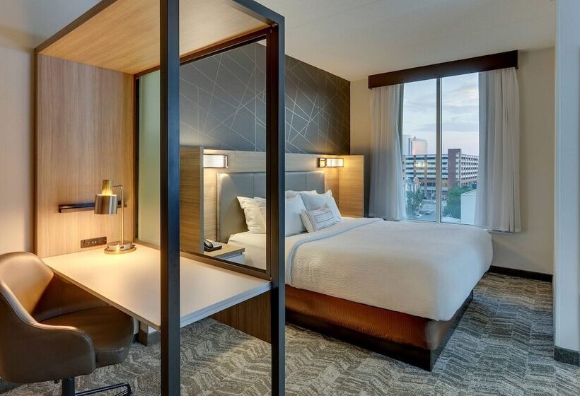 酒店 Springhill Suites By Marriott Birmingham Downtown At Uab