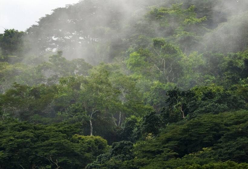 酒店 Summit Rainforest Golf Resort & All Inclusive