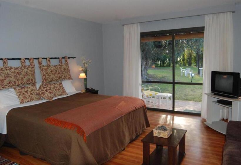 ホテル Suter Petit