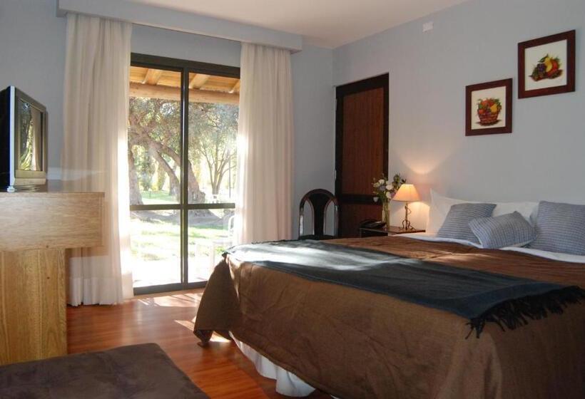 ホテル Suter Petit