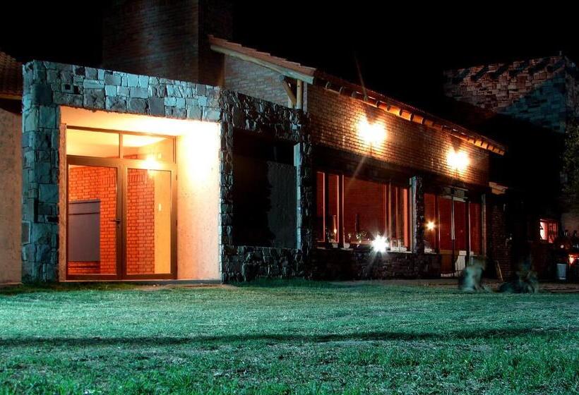 ホテル Suter Petit