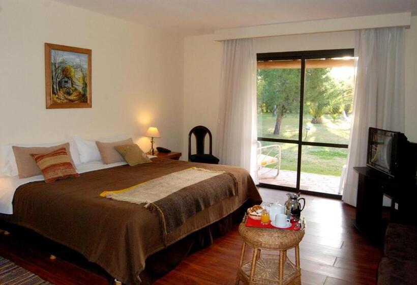 ホテル Suter Petit