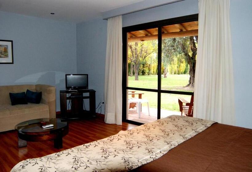 ホテル Suter Petit