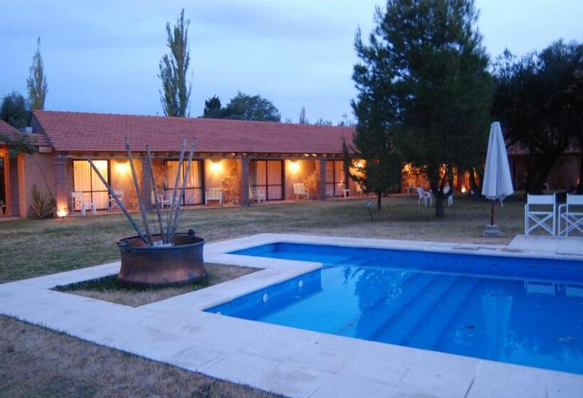 ホテル Suter Petit