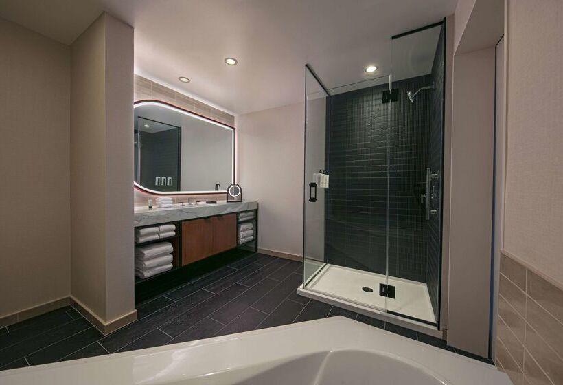 בית מלון כפרי Thewit Chicago, A Hilton