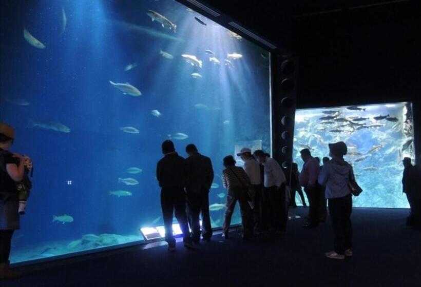 酒店 Wing International Chitose