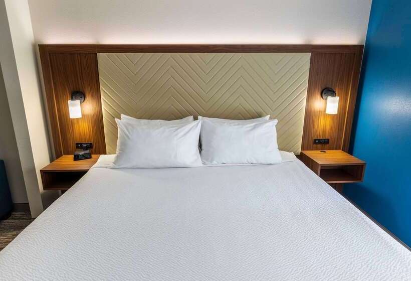 هتل Wingate By Wyndham Lafayette Airport