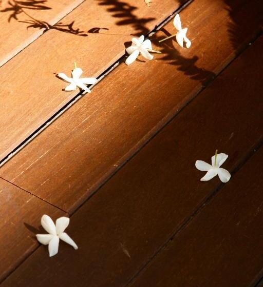 La Alcoba Del Agua Hotel Boutique