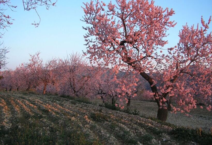 Apartamentos Serrella