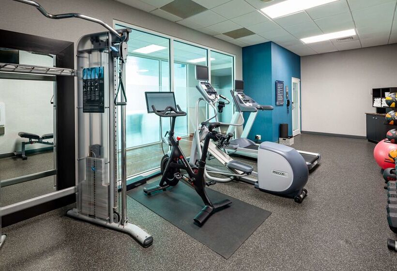 Hampton Inn & Suites St. Louis At Forest Park