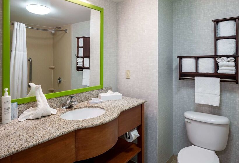 Hampton Inn & Suites St. Louis At Forest Park