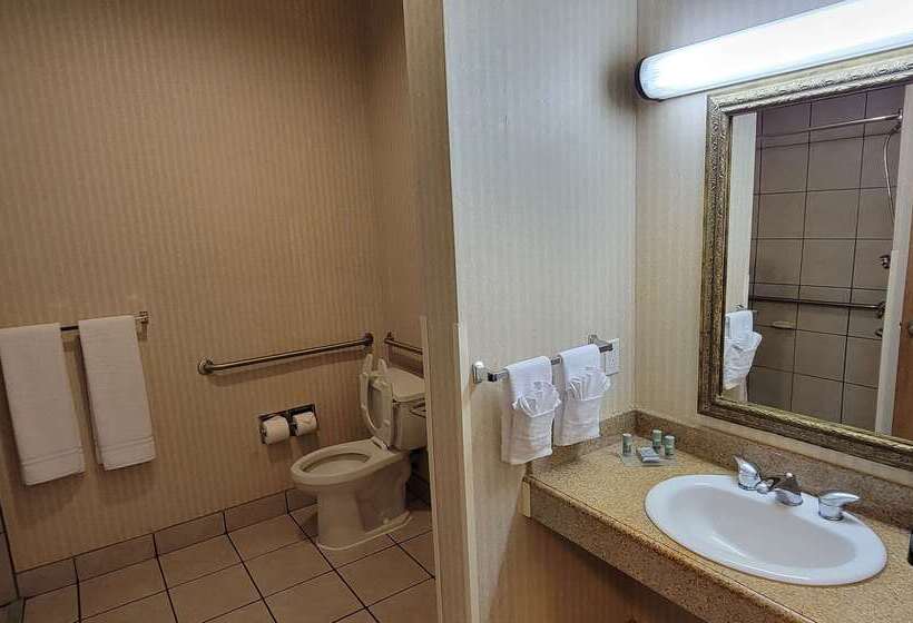 فندق Best Western Gallup West