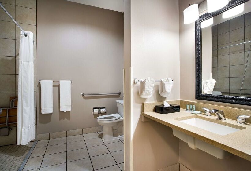 فندق Best Western Gallup West