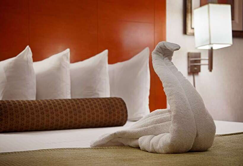 酒店 Best Western Jfk Airport