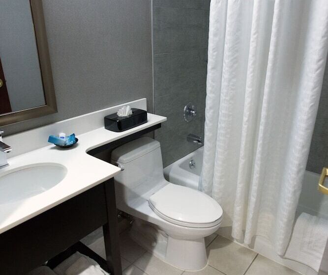 酒店 Best Western Jfk Airport