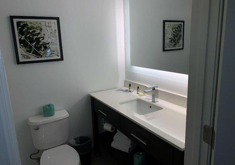 فندق Best Western Plus Executive Residency Franklin