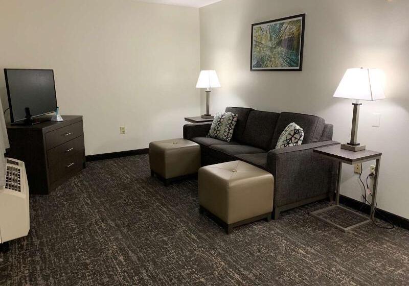 فندق Best Western Plus Executive Residency Franklin