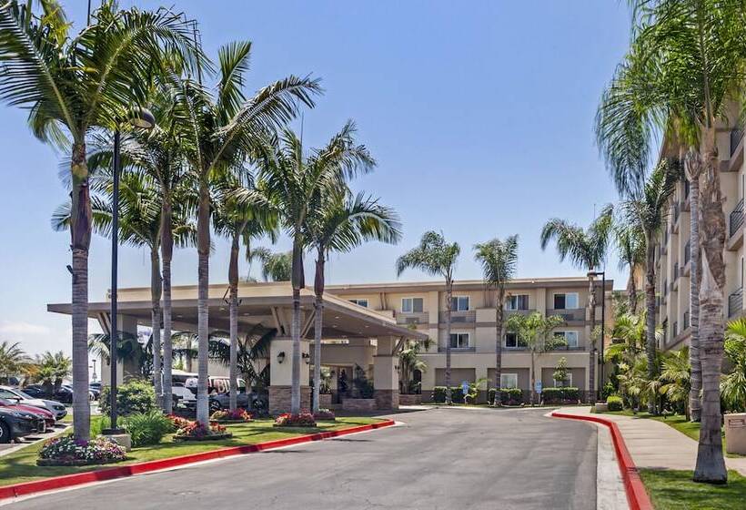 ホテル Best Western Plus Marina Gateway