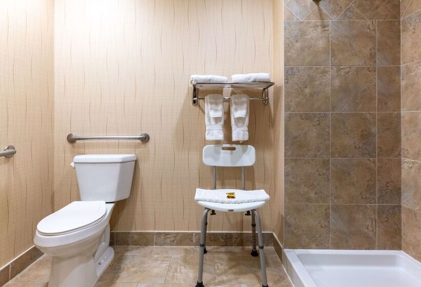 호텔 Best Western Plus South Edmonton Inn & Suites