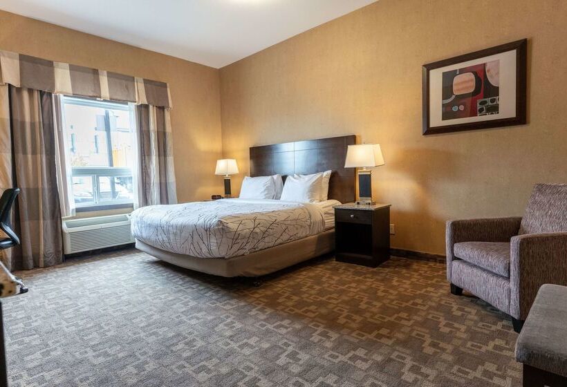 호텔 Best Western Plus South Edmonton Inn & Suites