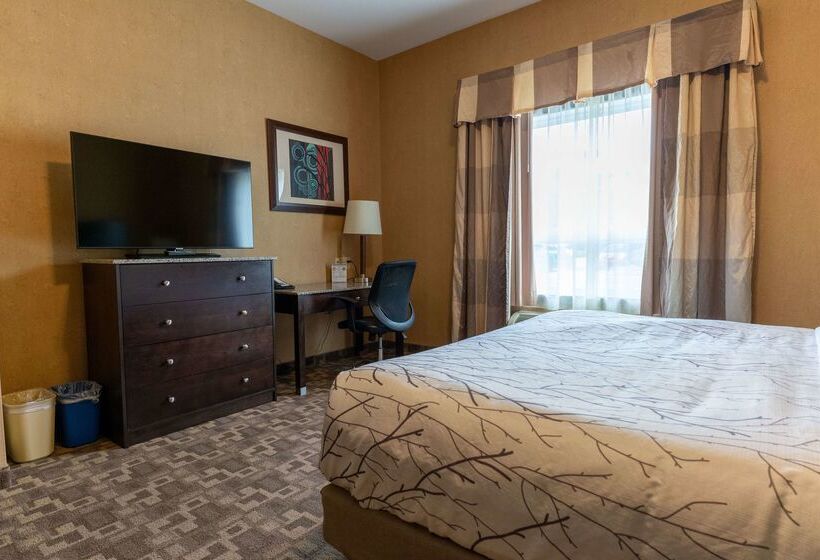 호텔 Best Western Plus South Edmonton Inn & Suites