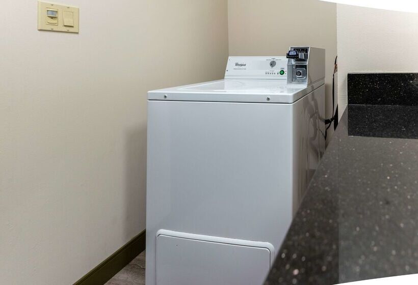 فندق Best Western Plus South Edmonton Inn & Suites