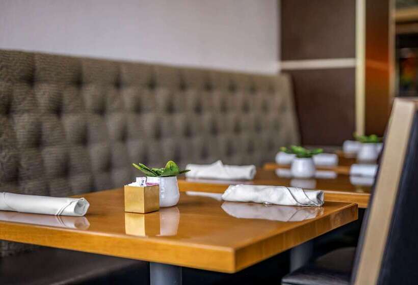 Cambria Hotel Ft Lauderdale, Airport South & Cruise Port