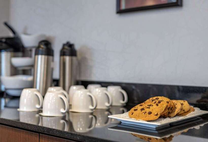 Cambria Hotel Ft Lauderdale, Airport South & Cruise Port