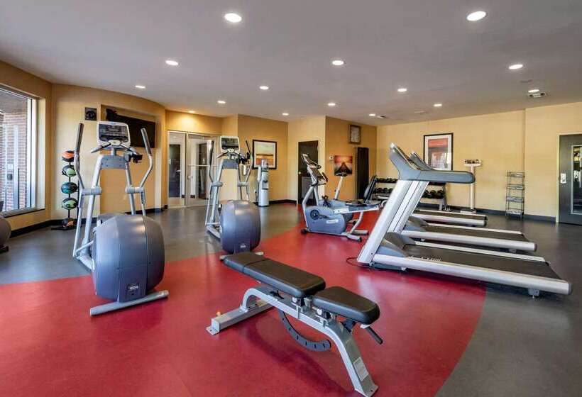 Cambria Hotel Ft Lauderdale, Airport South & Cruise Port