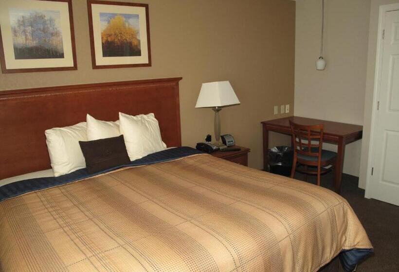 בית מלון כפרי Candlewood Suites Elgin – Northwest Chicago, An Ihg