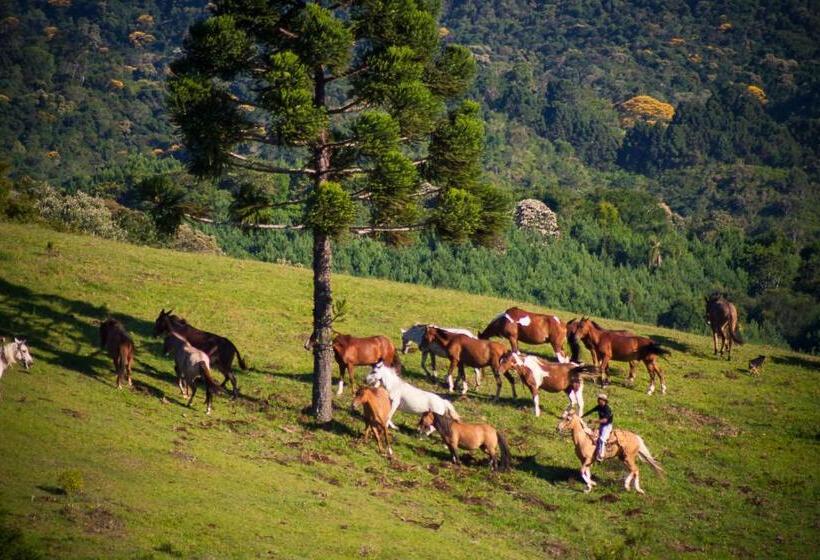 酒店 Capivari Ecoresort