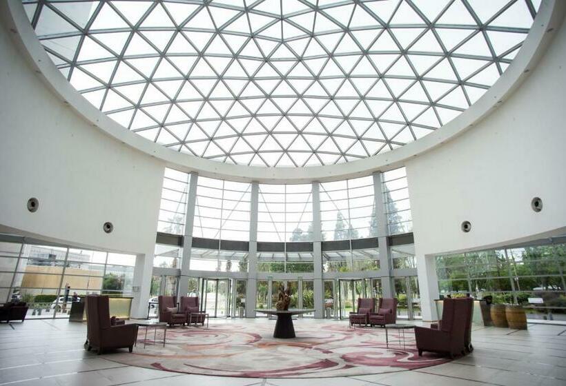 فندق Hilton Mendoza