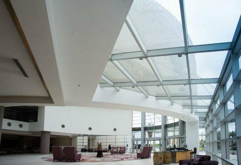 فندق Hilton Mendoza