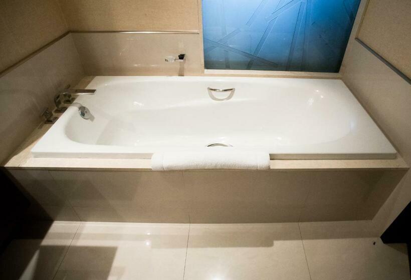 فندق Hilton Mendoza