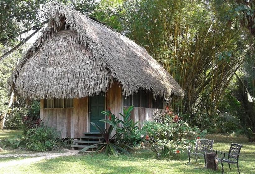 בית מלון כפרי Creekside Oasis