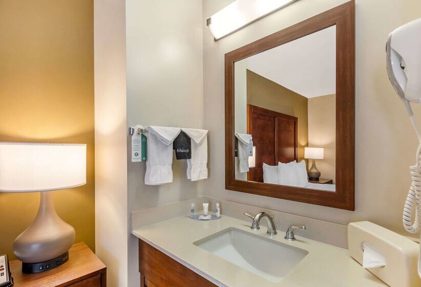 فندق Comfort Inn Monterey Park  Los Angeles