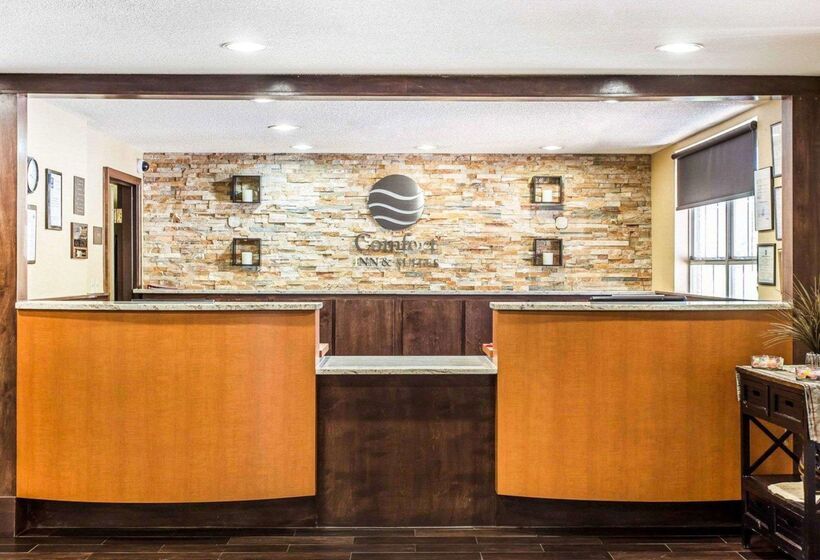 酒店 Comfort Inn & Suites Ballpark Area